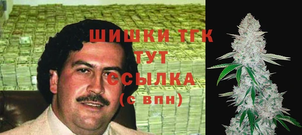 стаф Вязьма