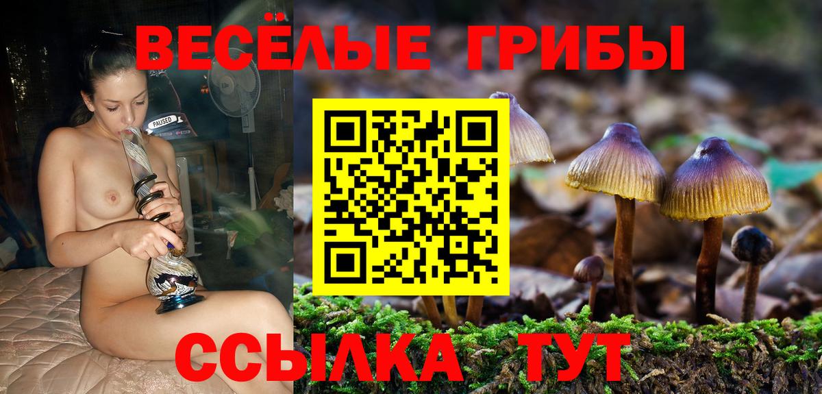 Галлюциногенные грибы Psilocybe  Вход с VPN  Кандалакша 