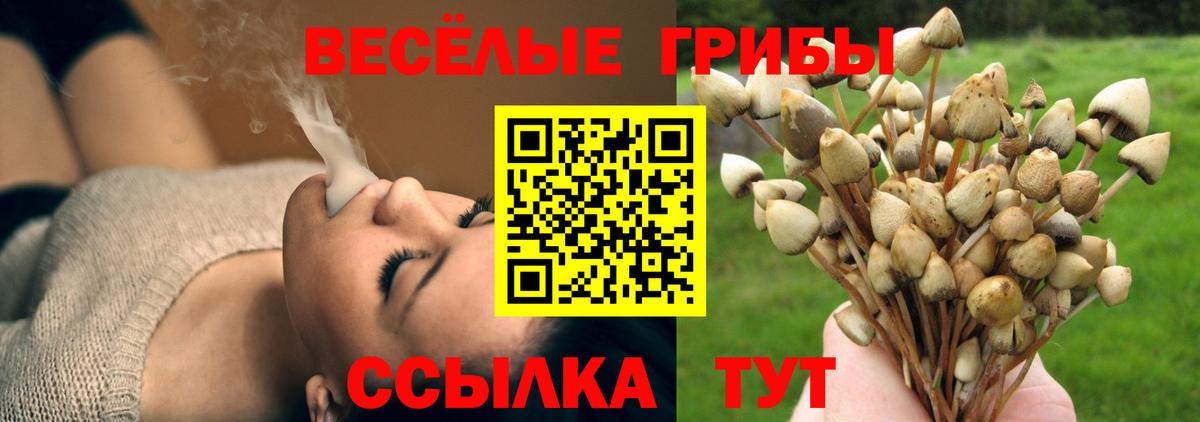 Галлюциногенные грибы ЛСД  Кандалакша  Псилоцибиновые грибы мухоморы 